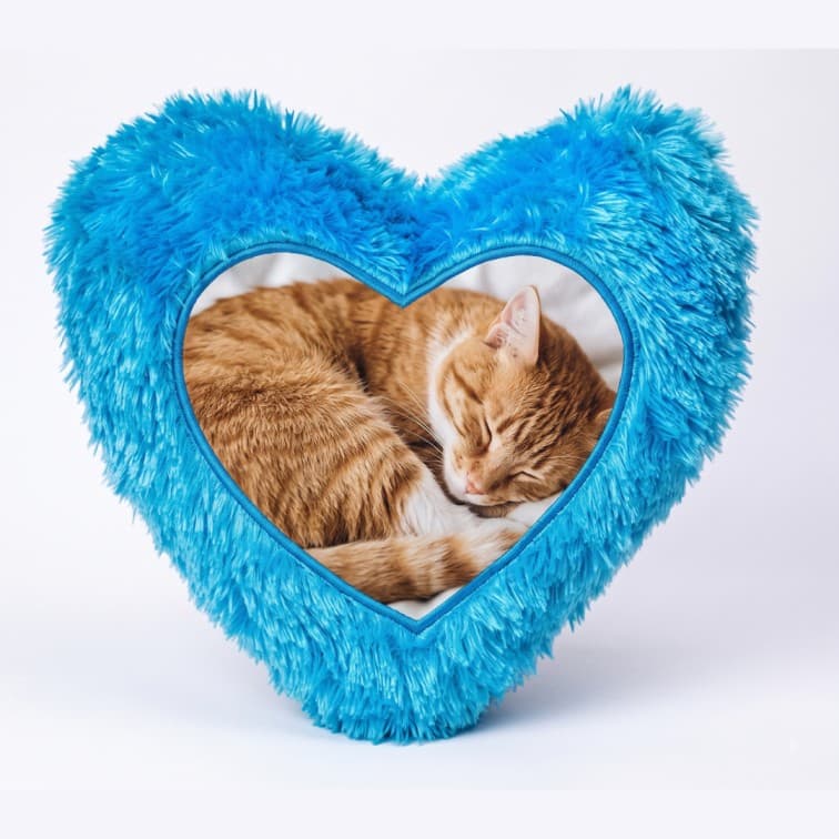 Custom Photo Print Pillow | Blue Faux-Fur Photo Pillow image 3