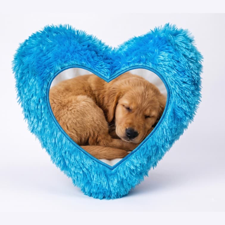 Custom Photo Print Pillow | Blue Faux-Fur Photo Pillow image 2