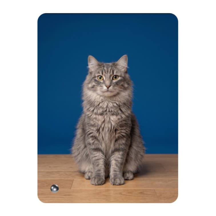 Custom Sublimation Acrylic Table Top Photo Frame (7x5 Inch) image 4