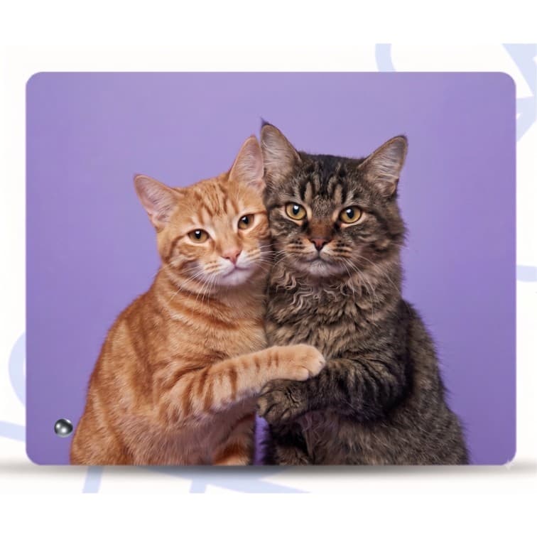 Custom Sublimation Acrylic Table Top Photo Frame (10x8 Inch) image 2