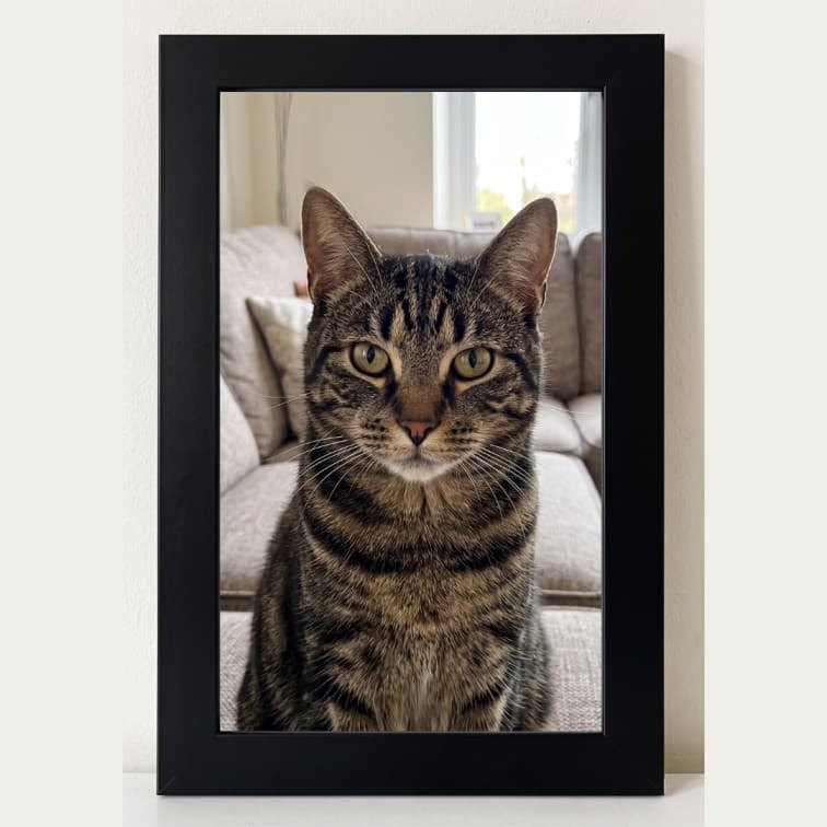 6x4 Inch Classic Black Fibre Photo Frame image 4