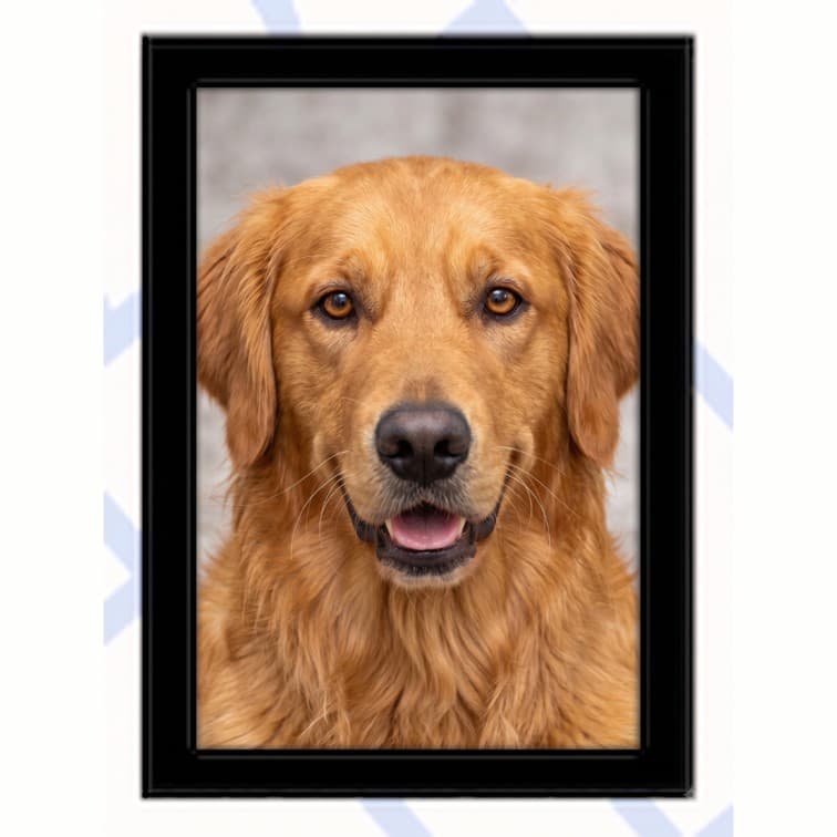 7x5 Inch Classic Black Fibre Photo Frame image 5