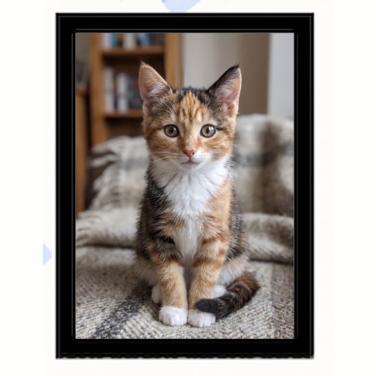 6x8 Inch Classic Black Fibre Photo Frame image 2