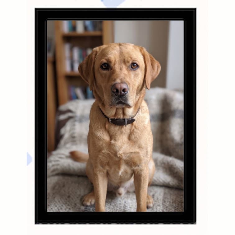 6x8 Inch Classic Black Fibre Photo Frame image 5