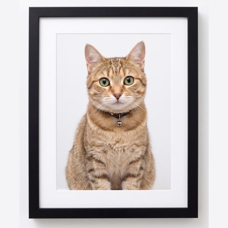 8x10 Inch Classic Black Fibre Photo Frame image 2