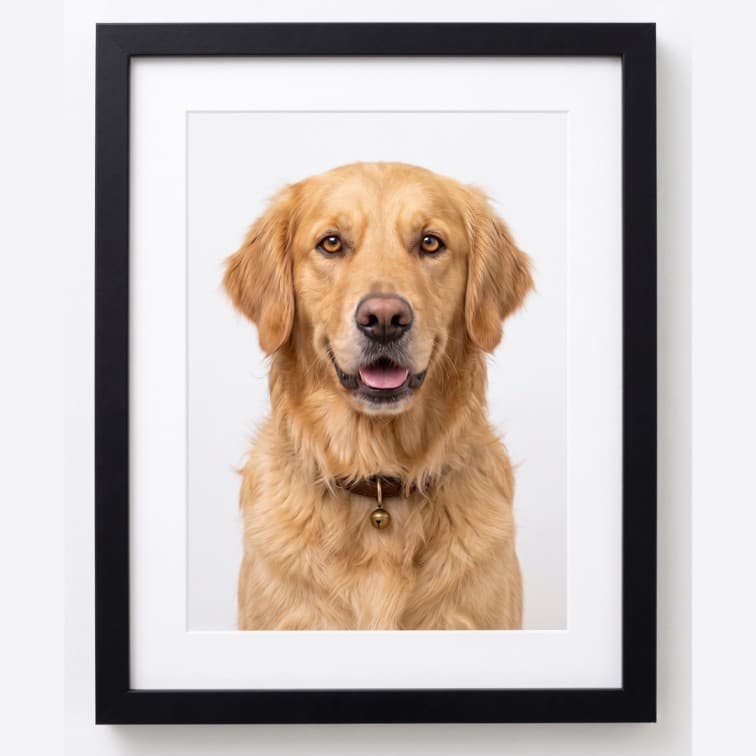 8x10 Inch Classic Black Fibre Photo Frame image 5